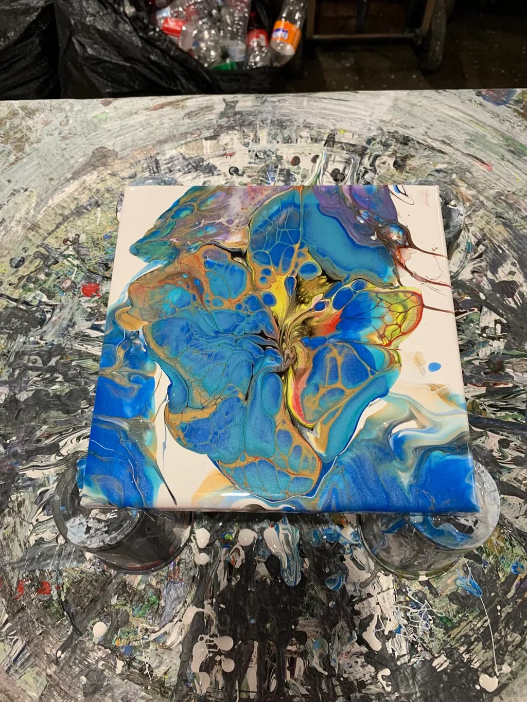 Celestial Bloom