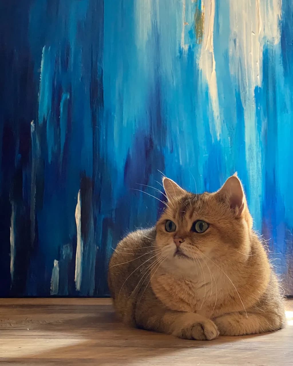 Golden Gaze