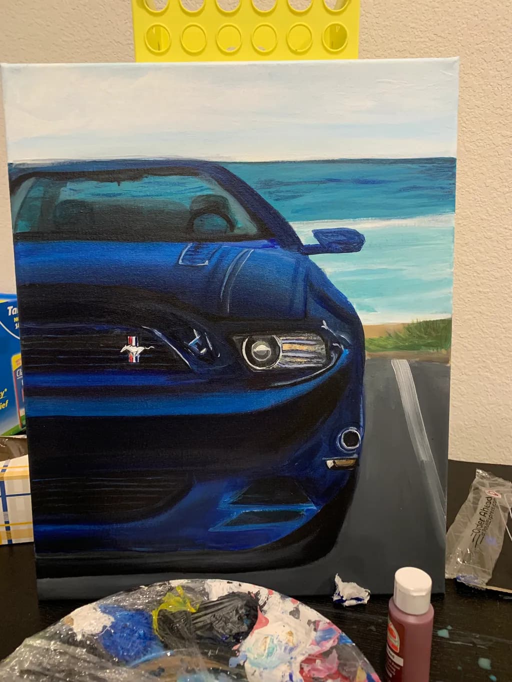 Coastal Mustang