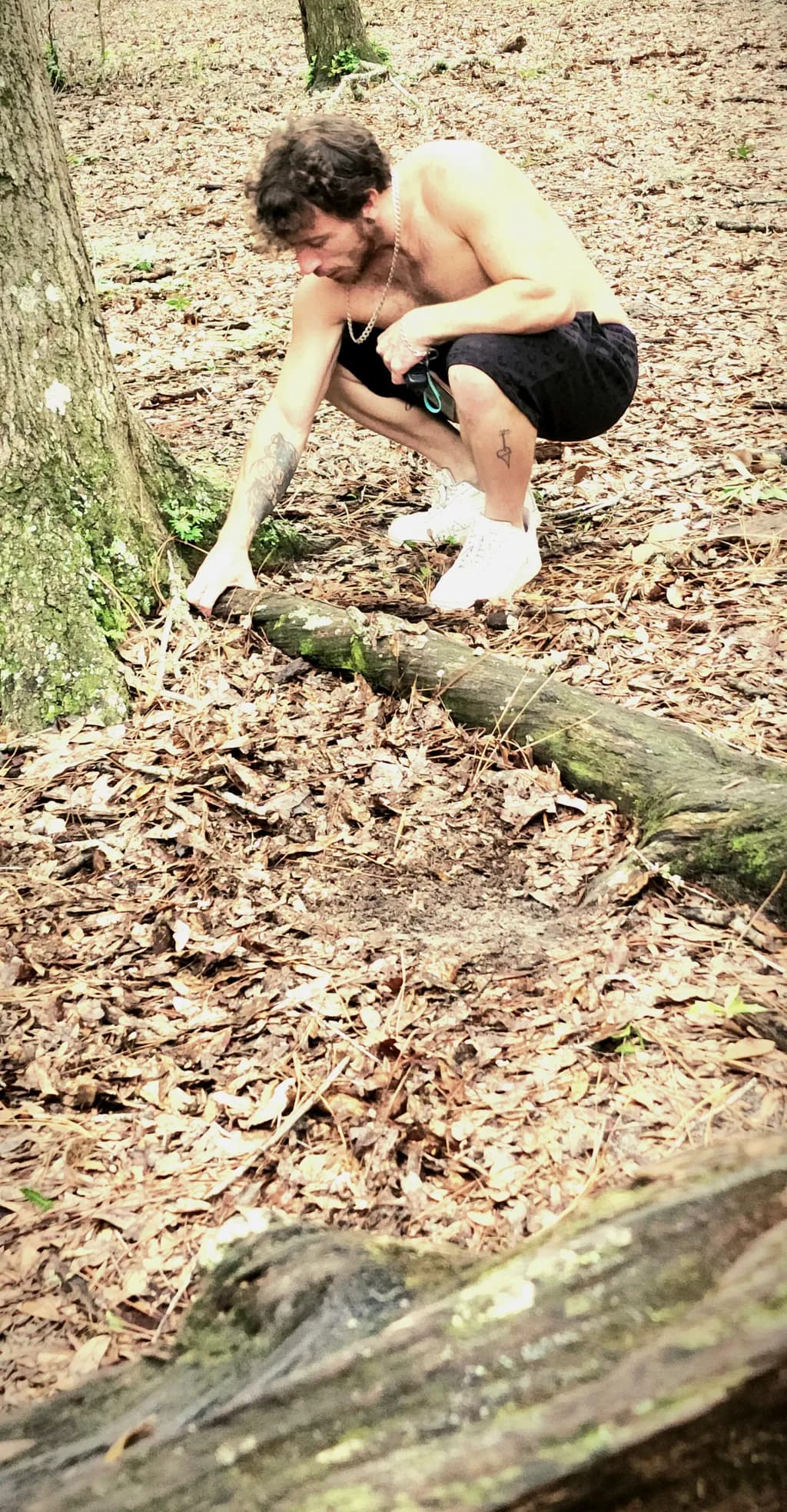 Forest Exploration Pause