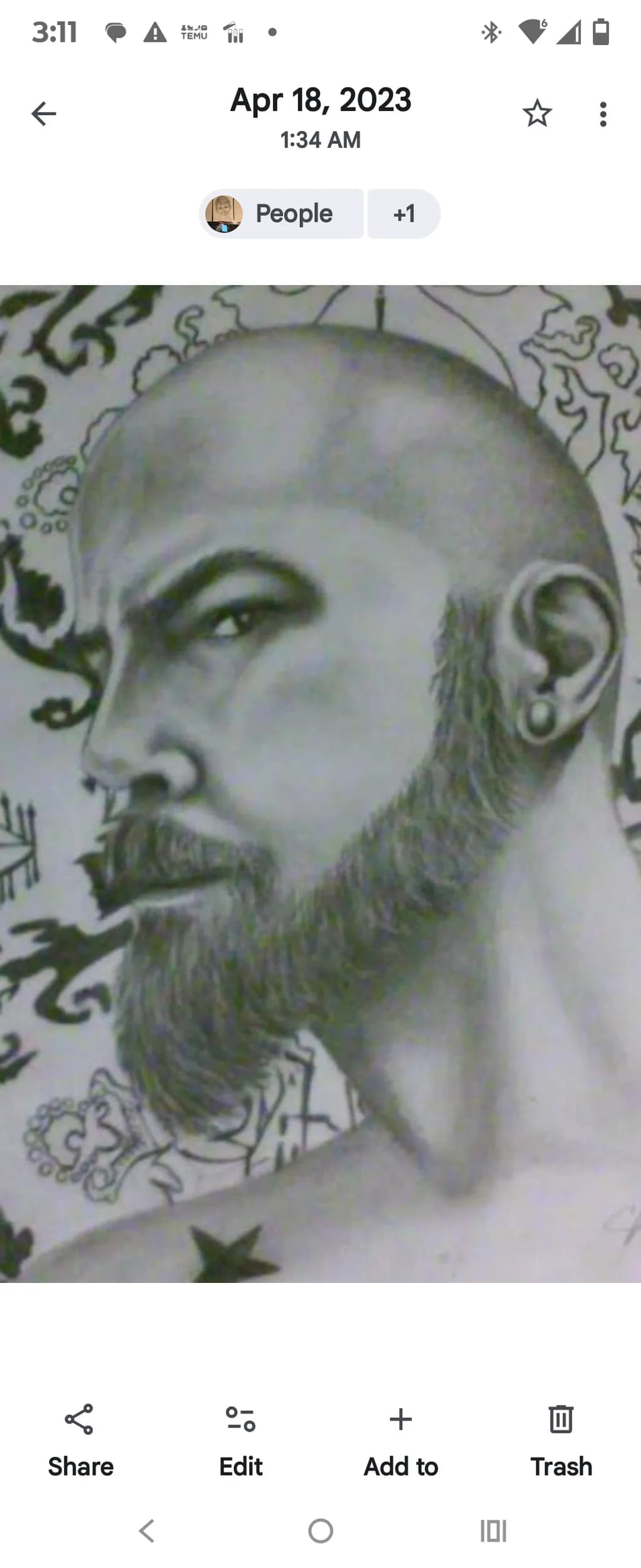 Bearded Portrait