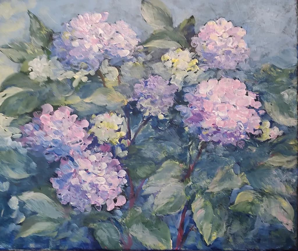 Hydrangea Bloom