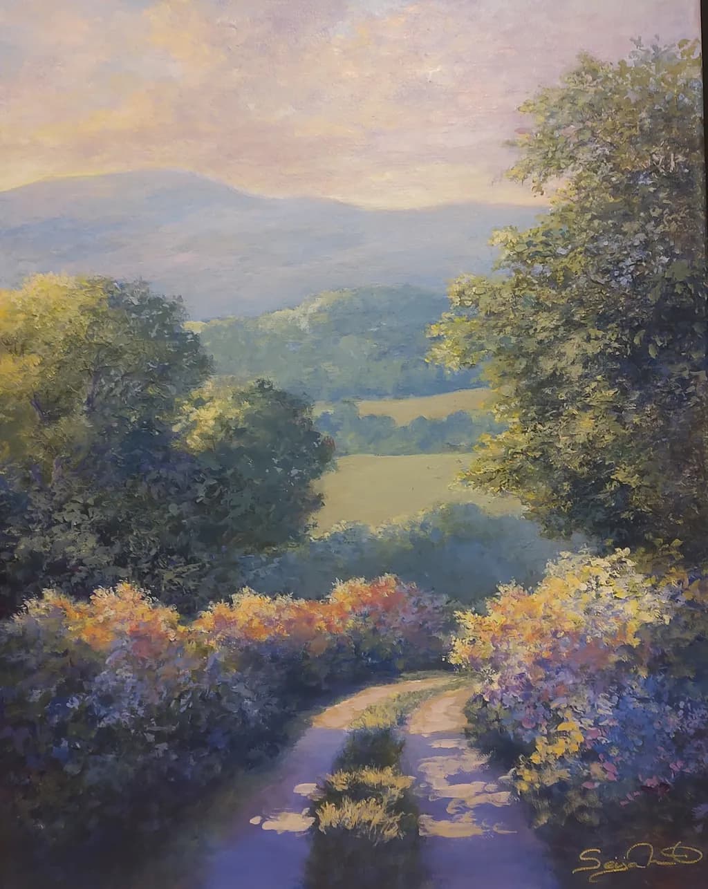 Sunlit Pathway