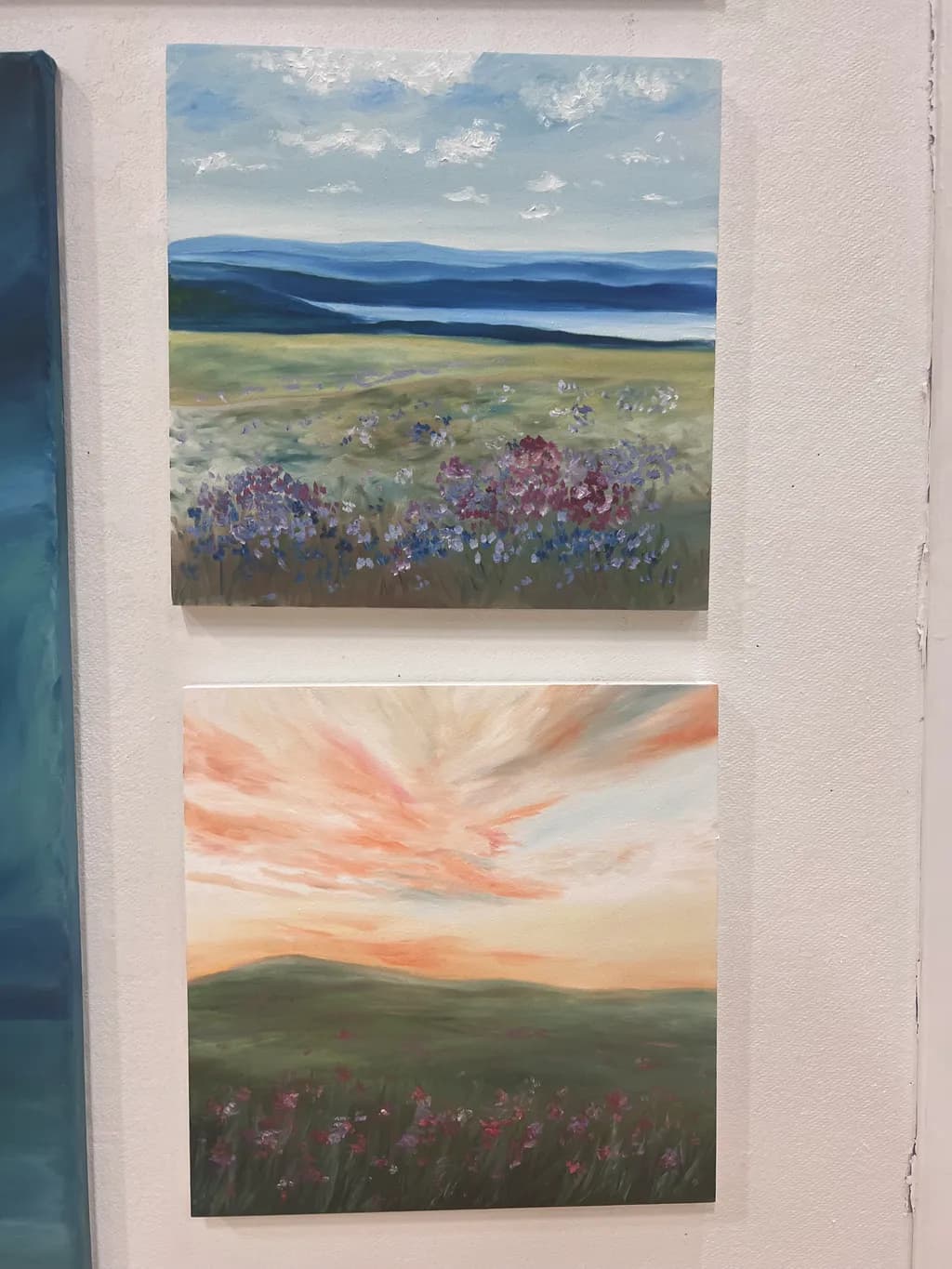 Twilight Meadows