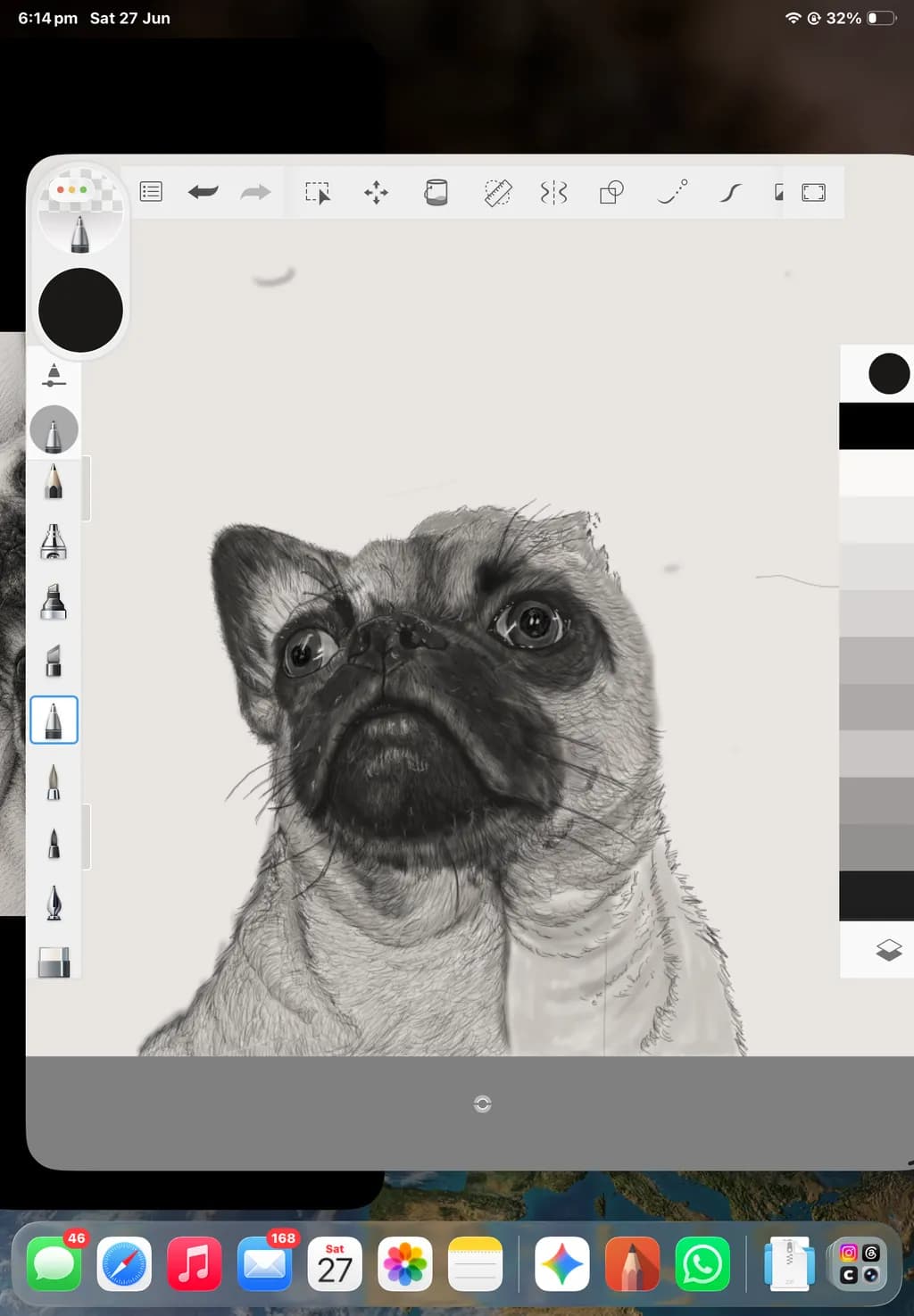 Pensive Pug