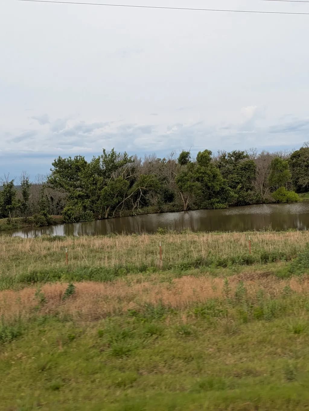 Quiet Pond Reflection