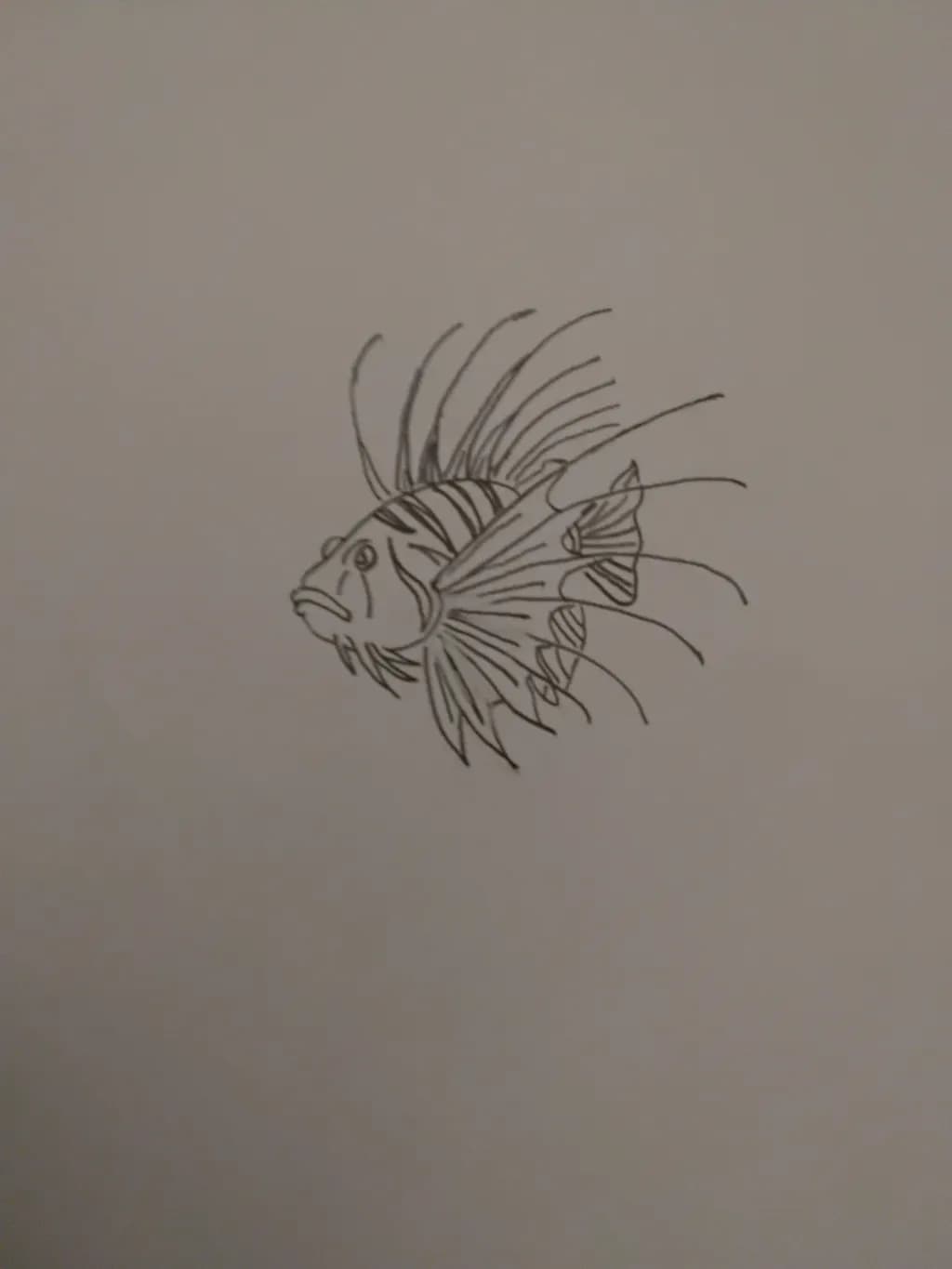 Spiny Lionfish