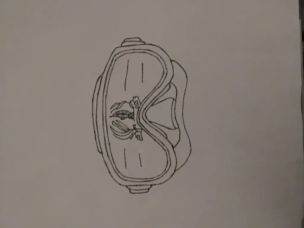 Diver's Mask Reflection