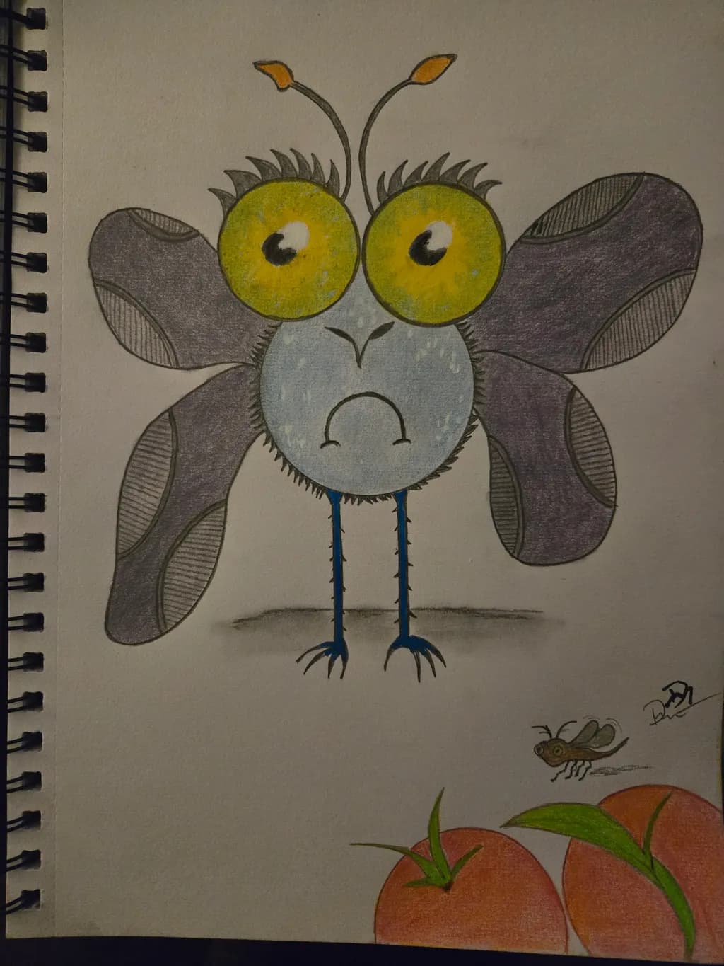 Wide-Eyed Flutter