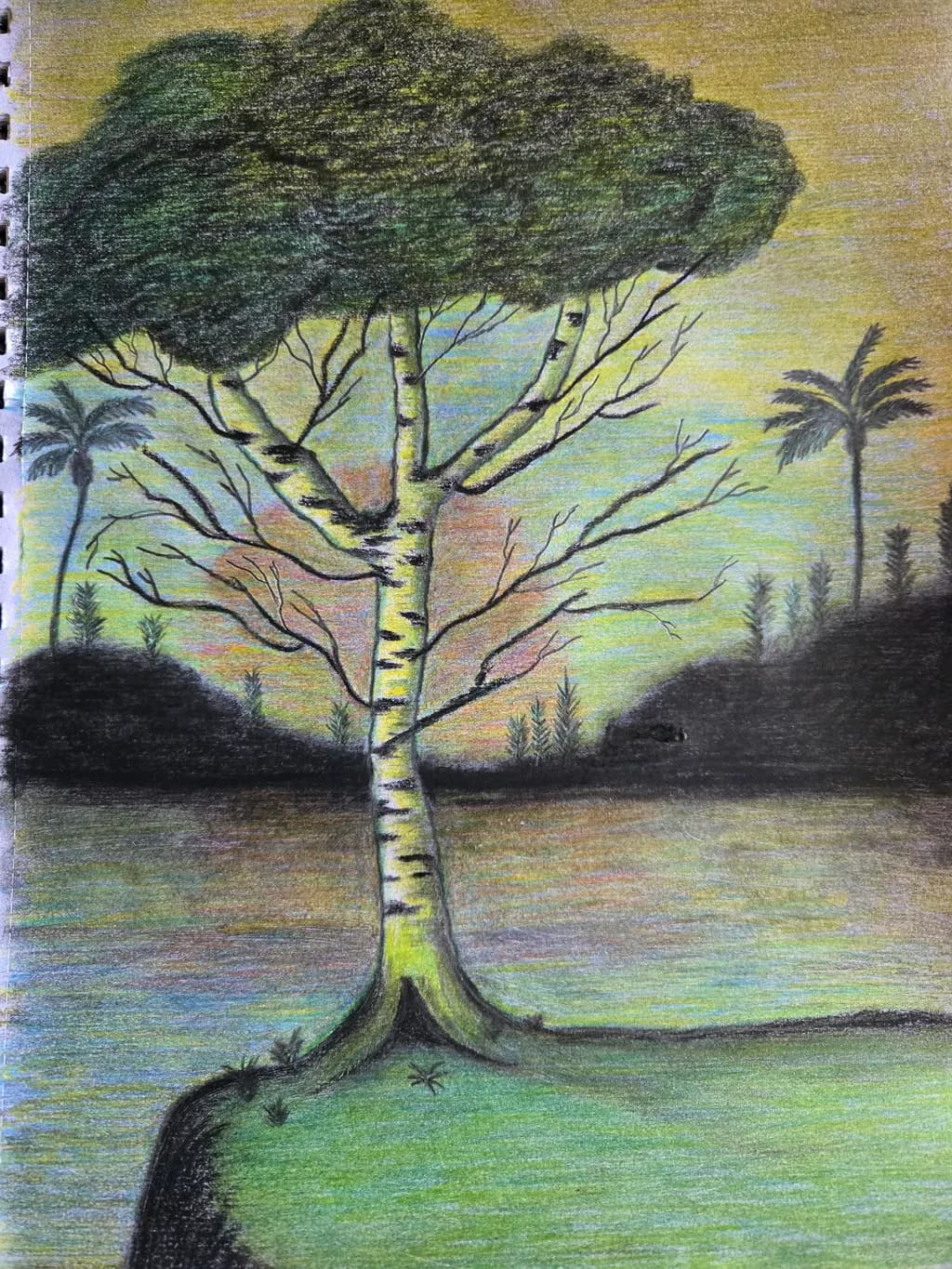 Birch Silhouette