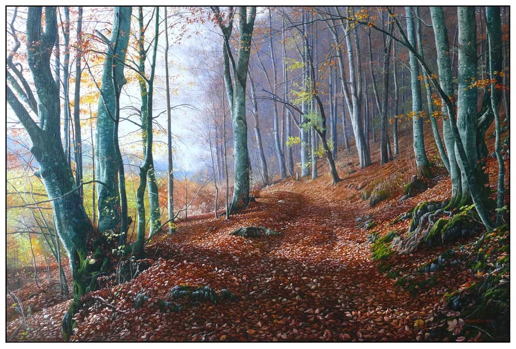 Bukový les pod Muránskym hradom