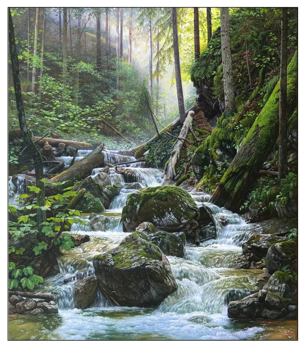 Wild Stream of Sokolí Valley