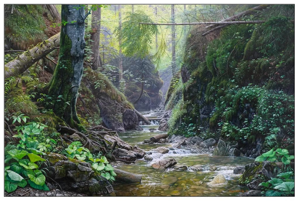 Suchá Bela Gorge