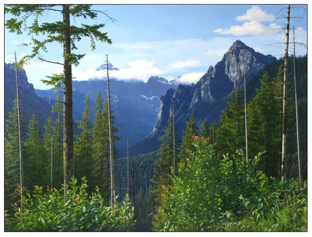Tatras Transformation