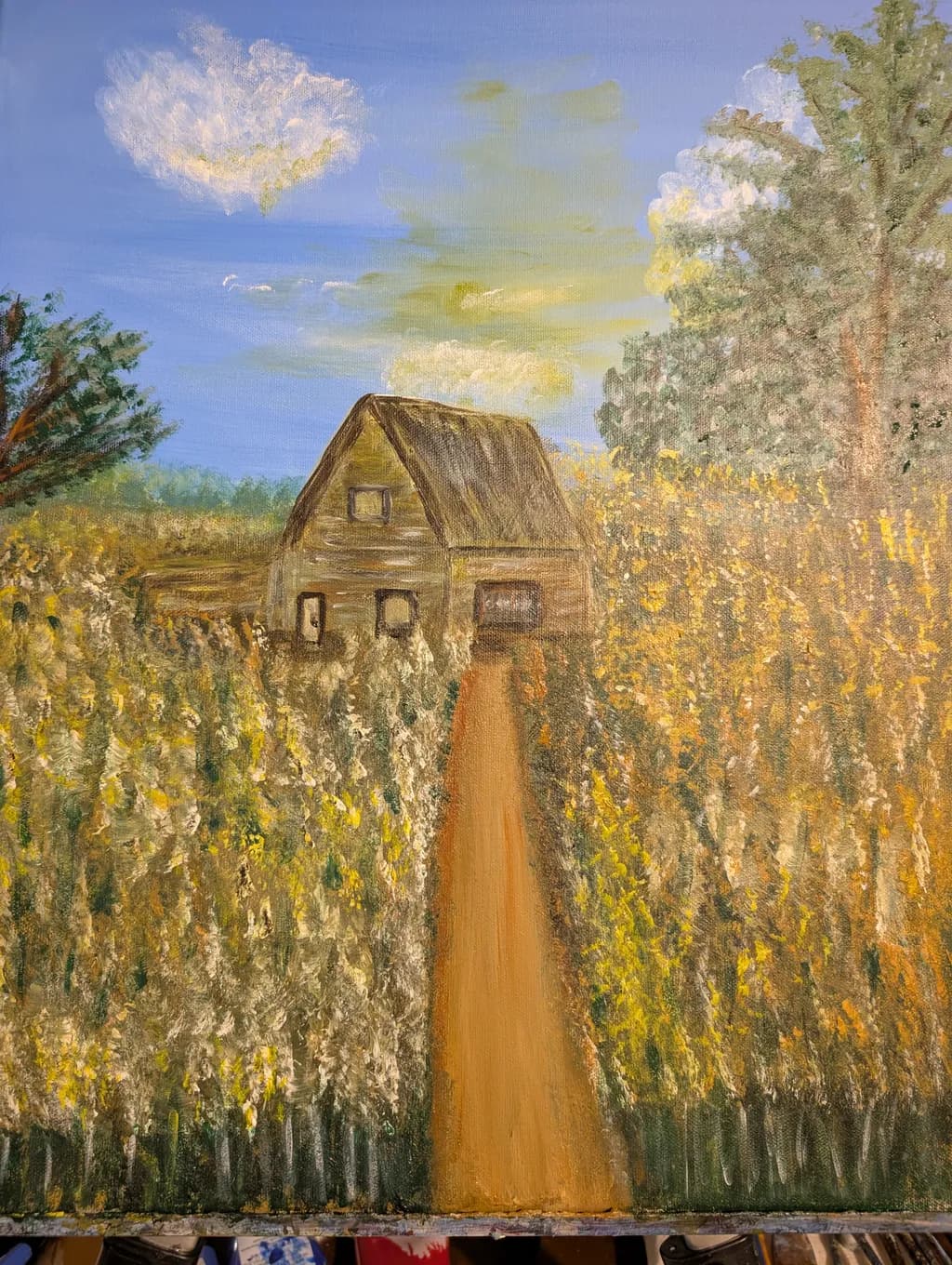 Sunlit Pathway
