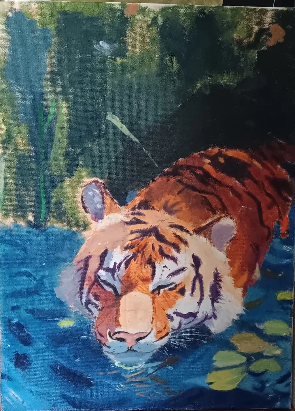 Tiger in Water