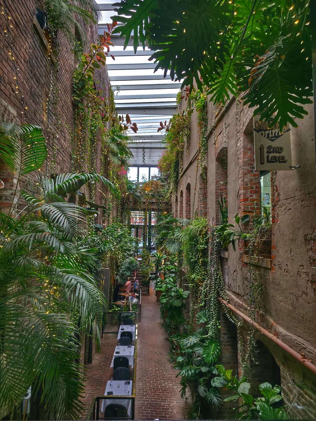 Urban Jungle Passage