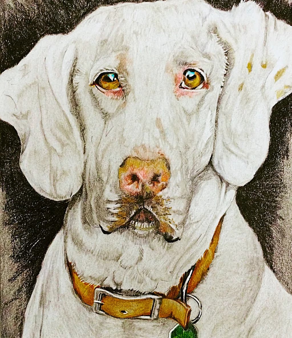 Jess Dog Portrait