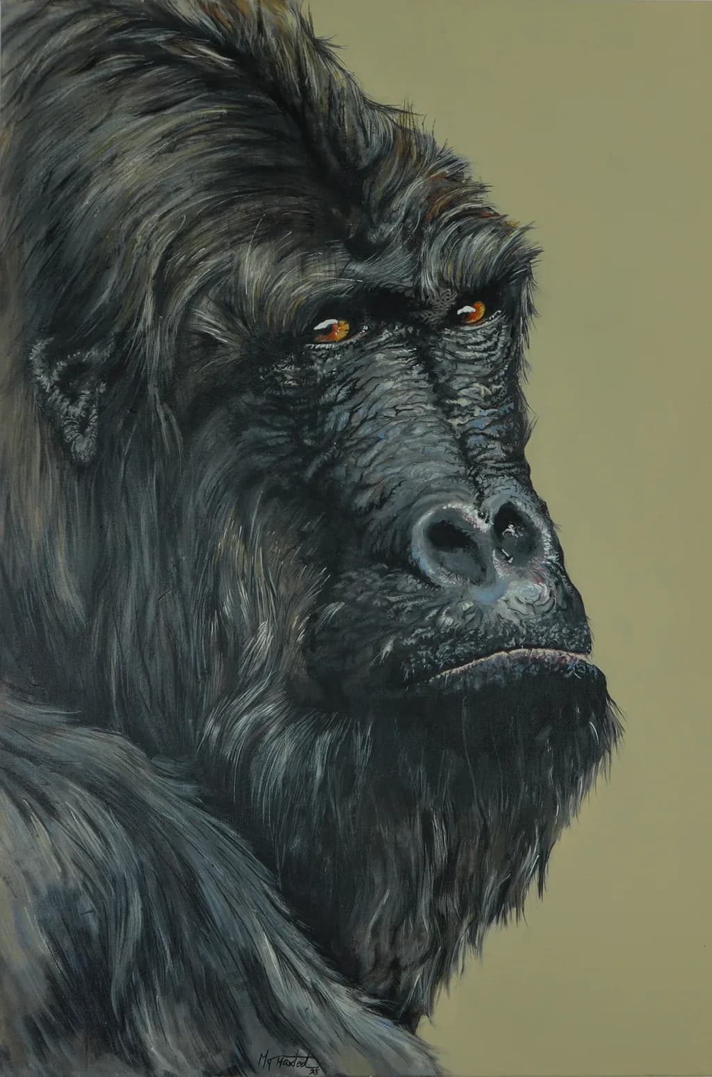 Concentration Gorilla Portrait