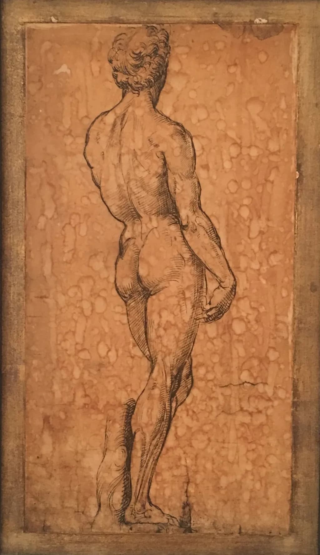 David Sketch