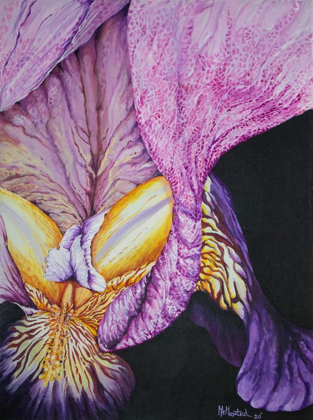 Pink Brindle Lily