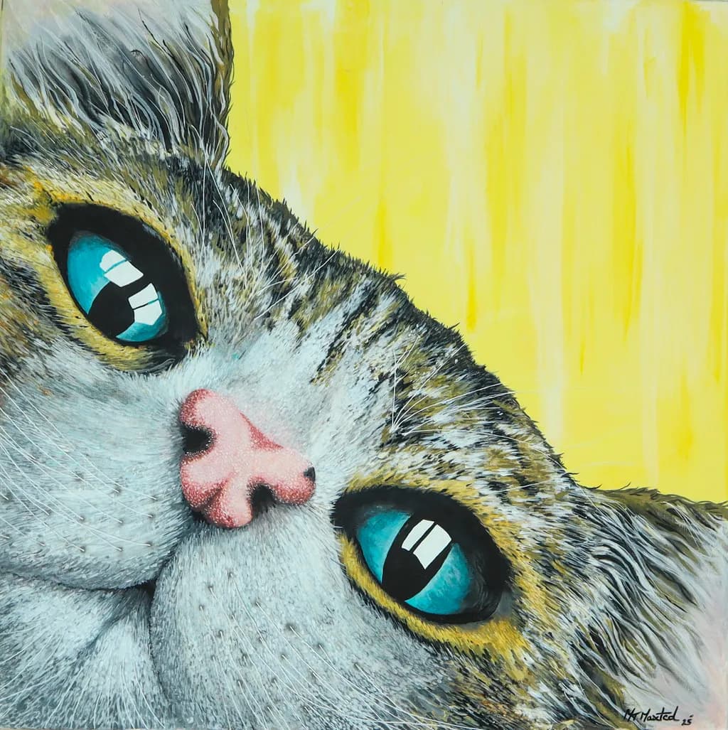 Corner Cat Close-up
