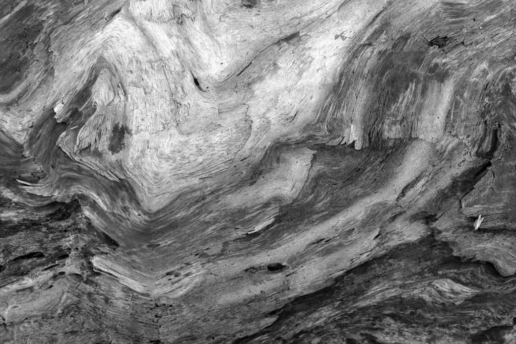 Orcas Island Grain