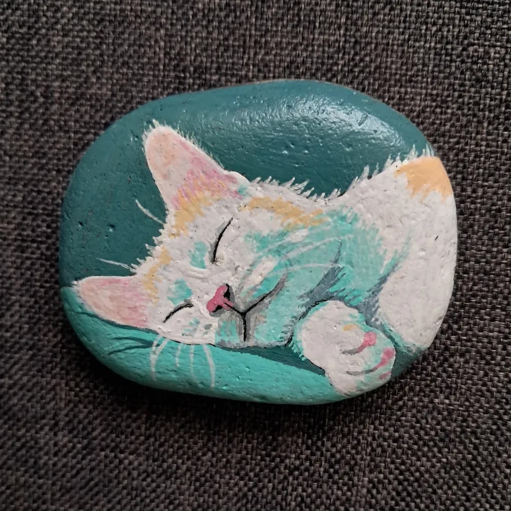 Sleeping Cat on Stone