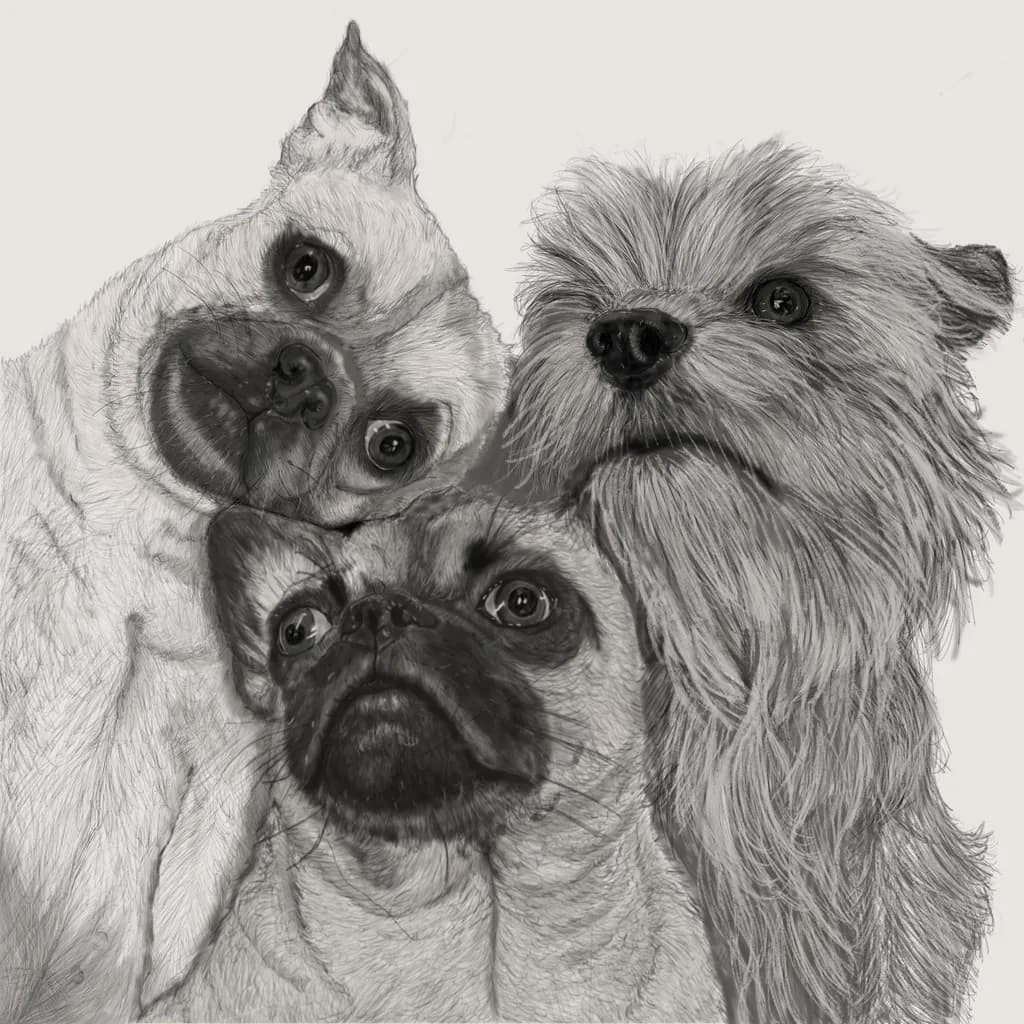 Peanut, Oscar and Roxy