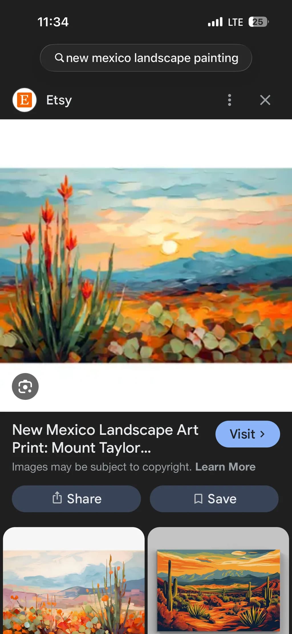 Desert Bloom Sunset