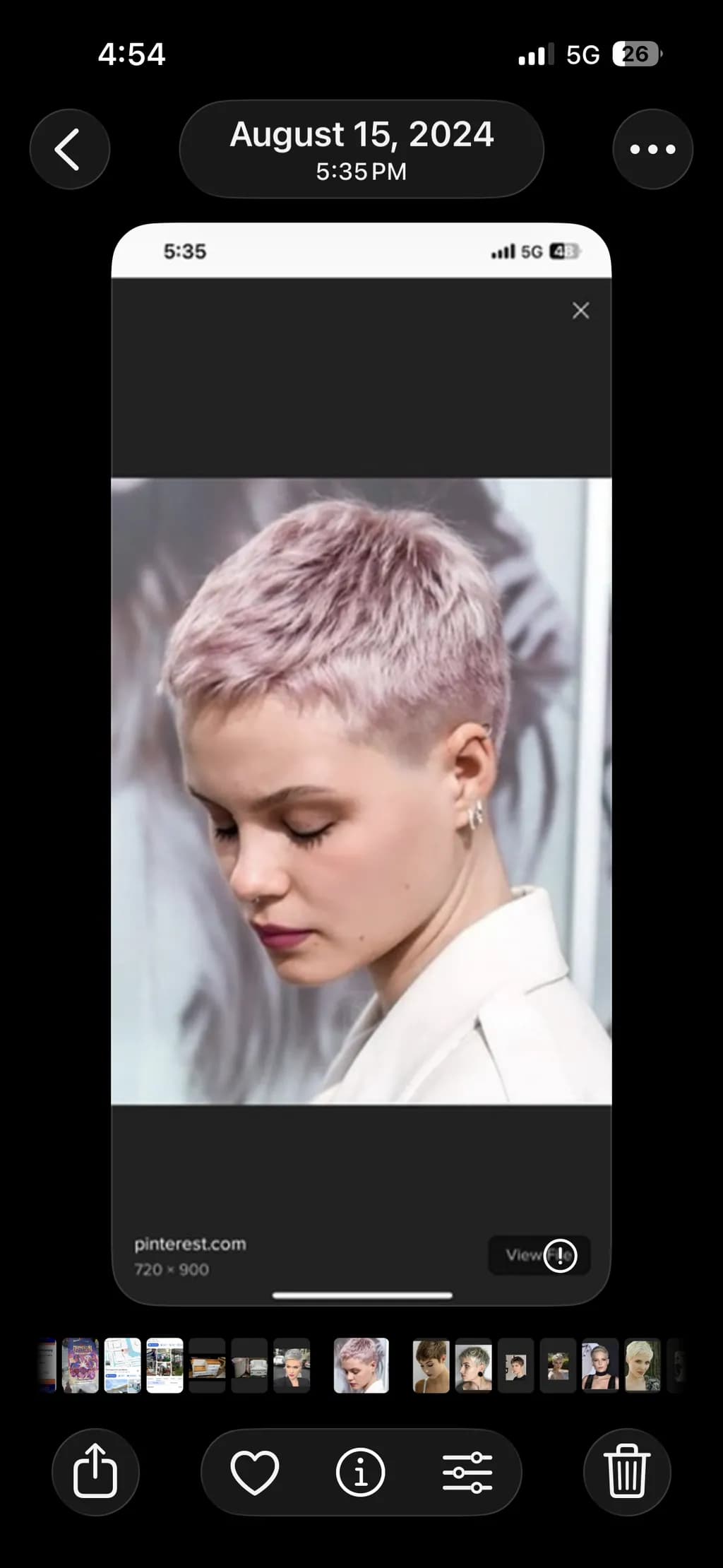 Lilac Fade Crop