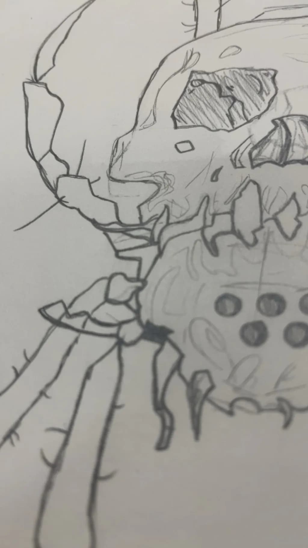 Fragmented Skull Spider