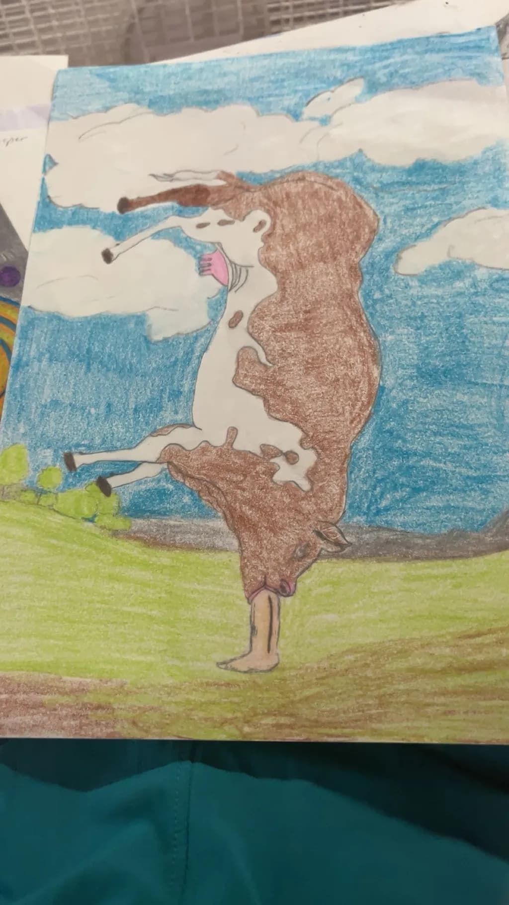 Cow Acrobatics