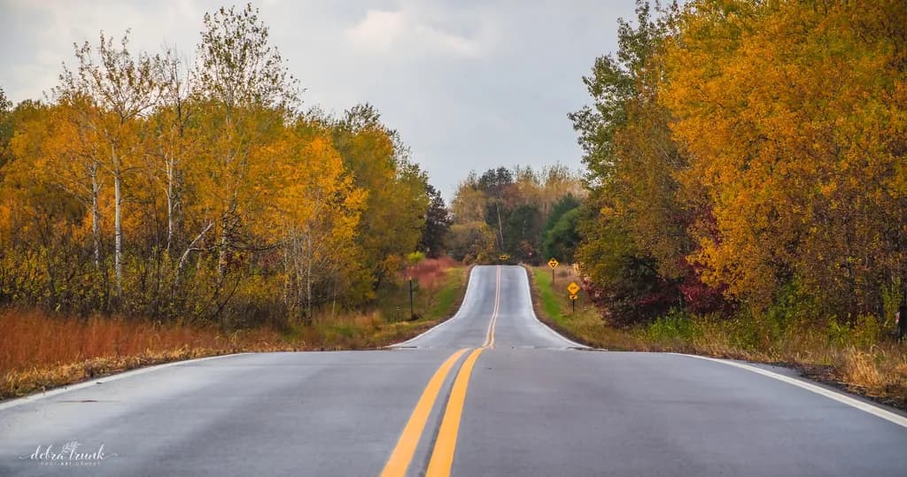 Fall Road