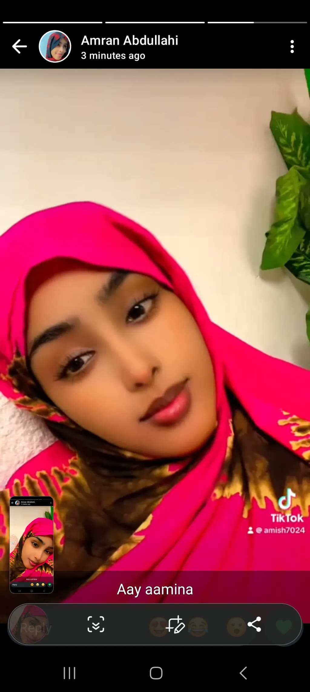 Aay Aamina Portrait