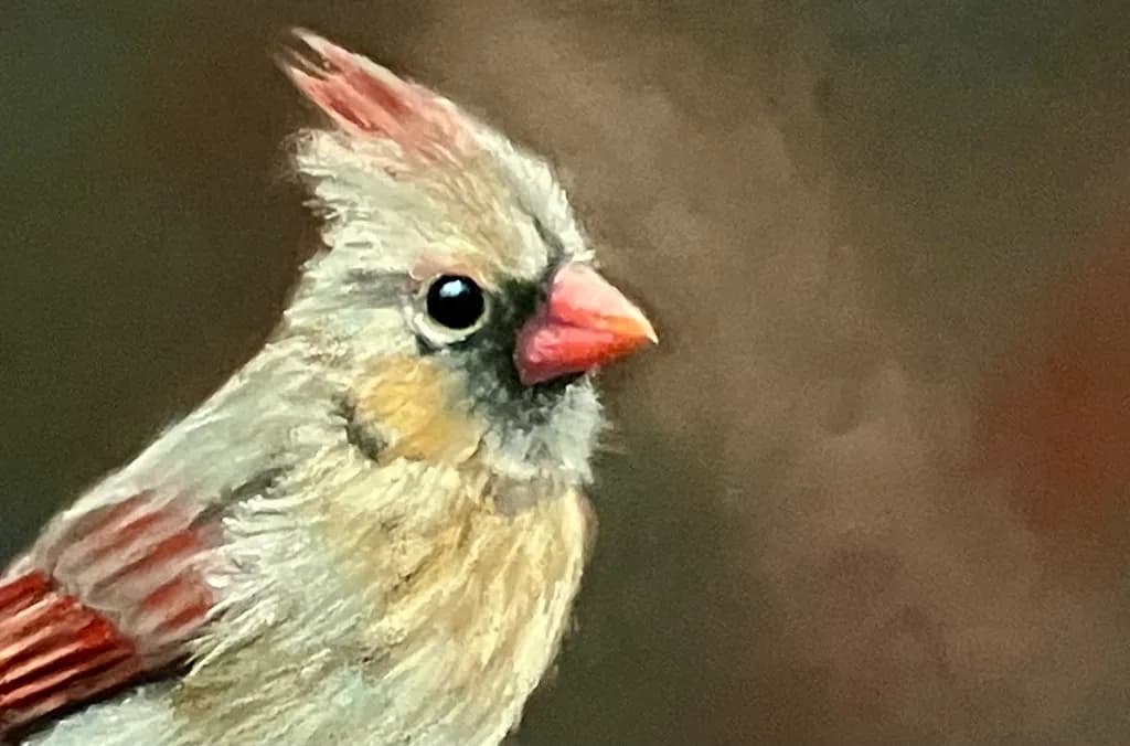 Female Cardinal Portrait