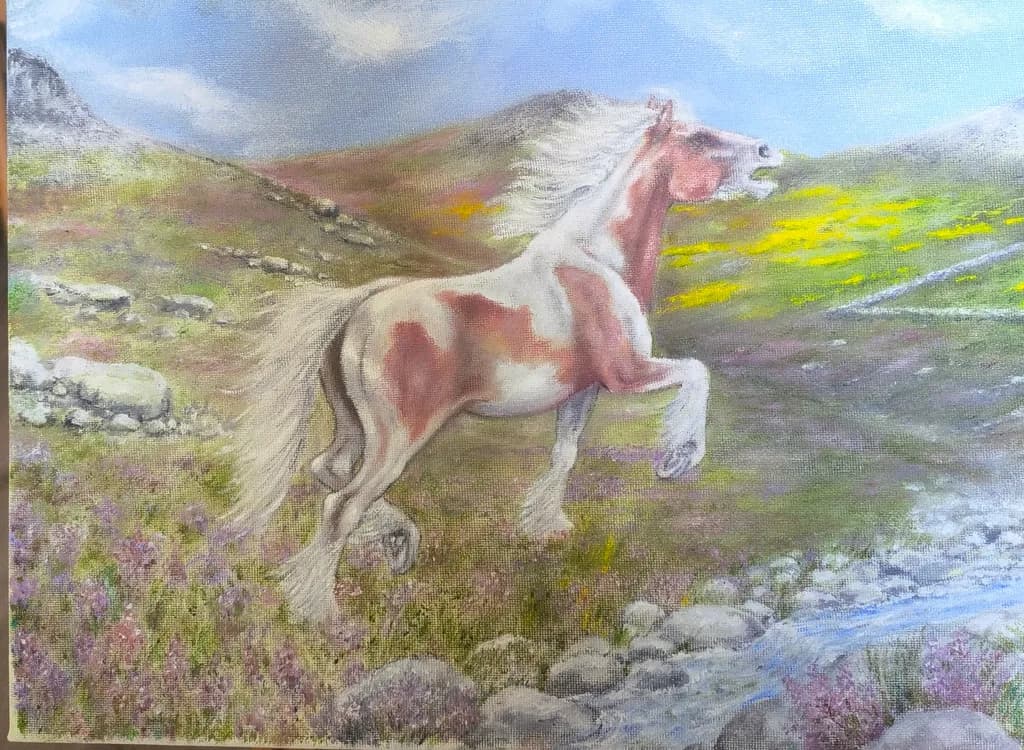 Mountain Mare Sprint