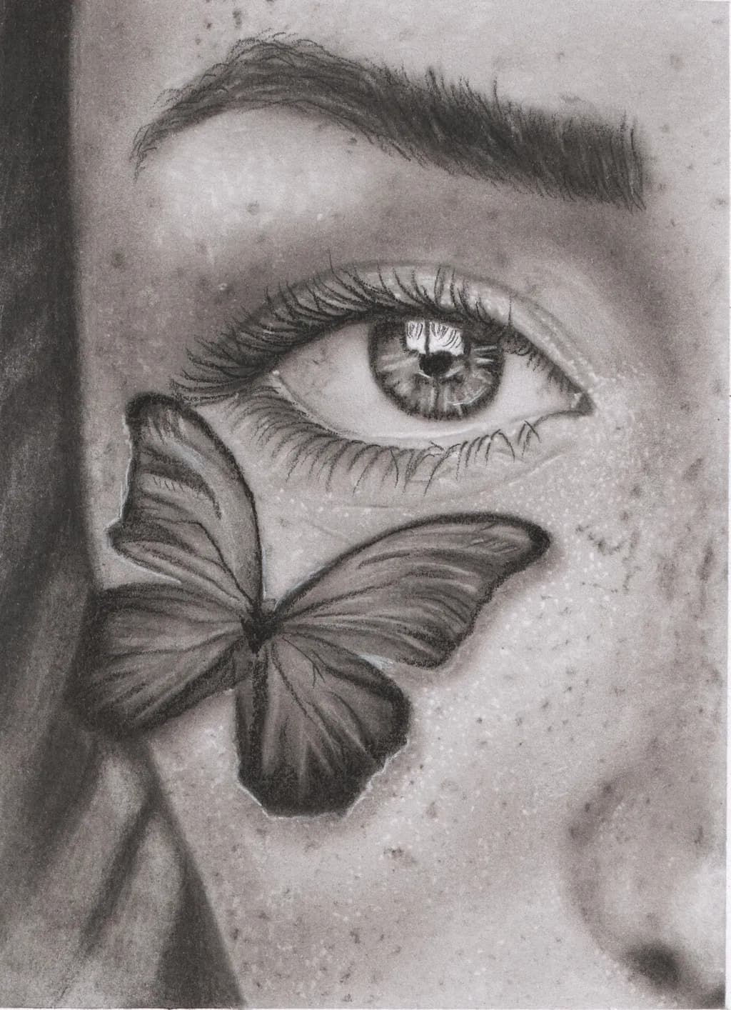 Butterfly and Eye