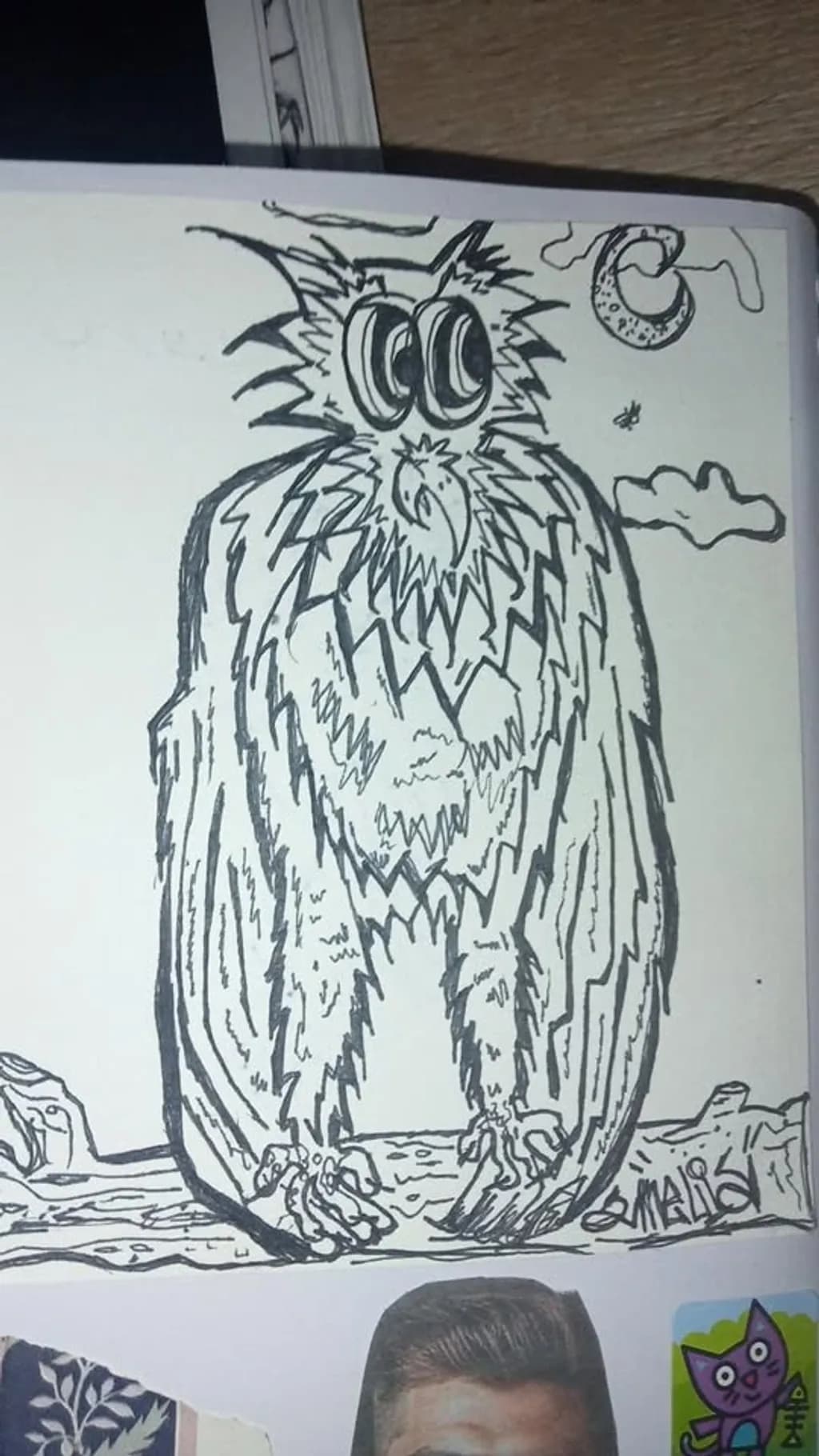 Wide-Eyed Owl