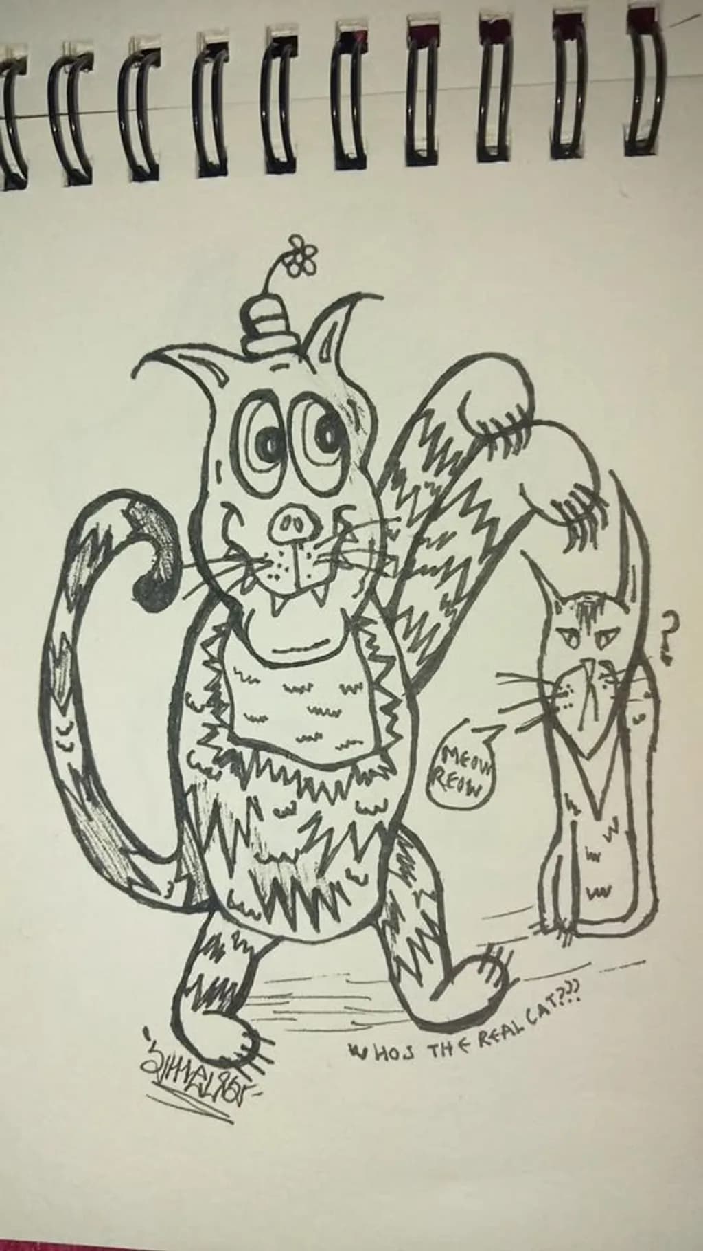 Who's the Real Cat?