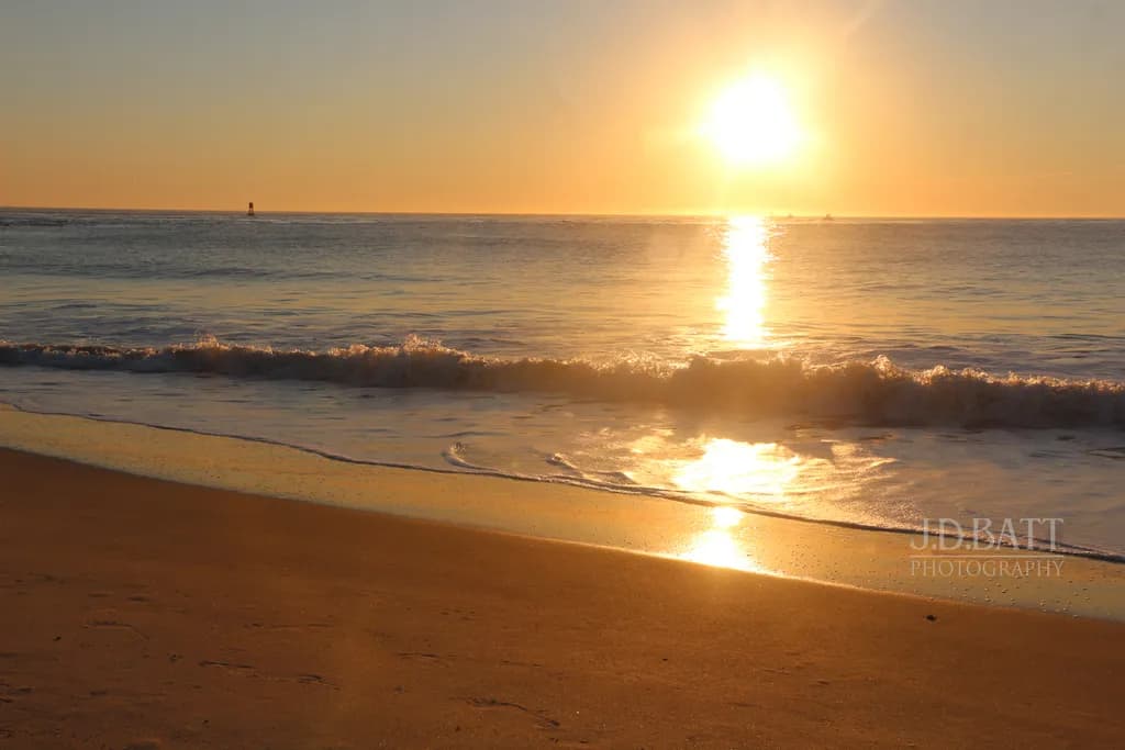 Golden Tide