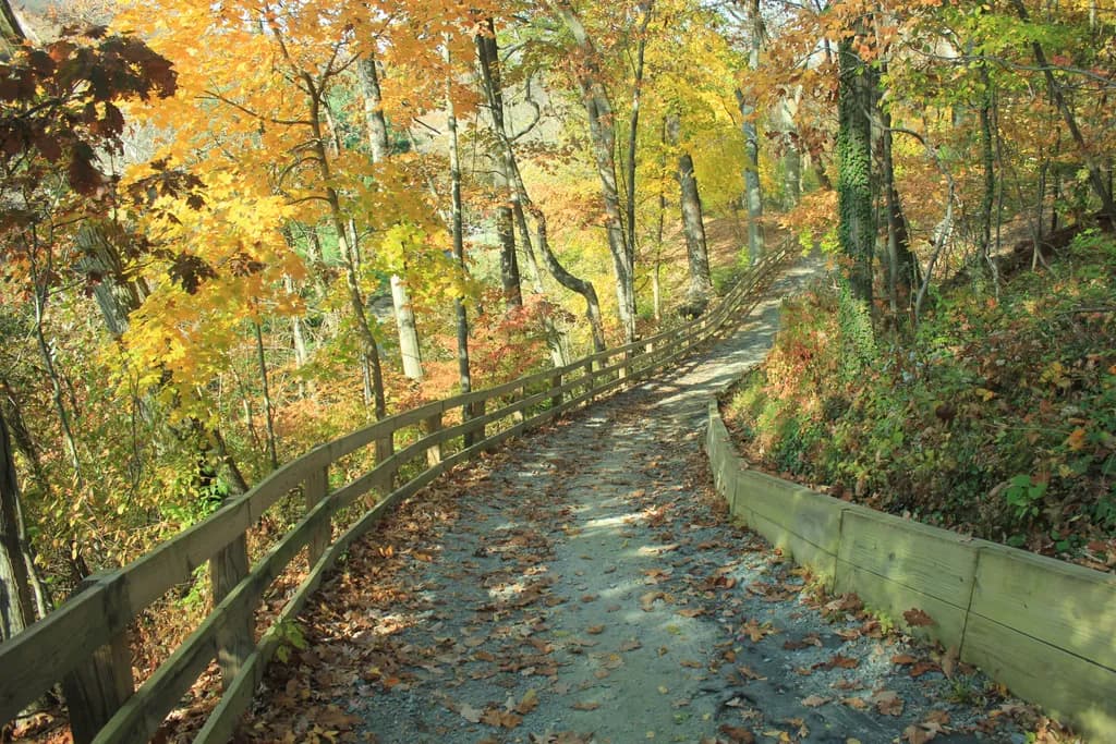 Delaware Greenway Trail