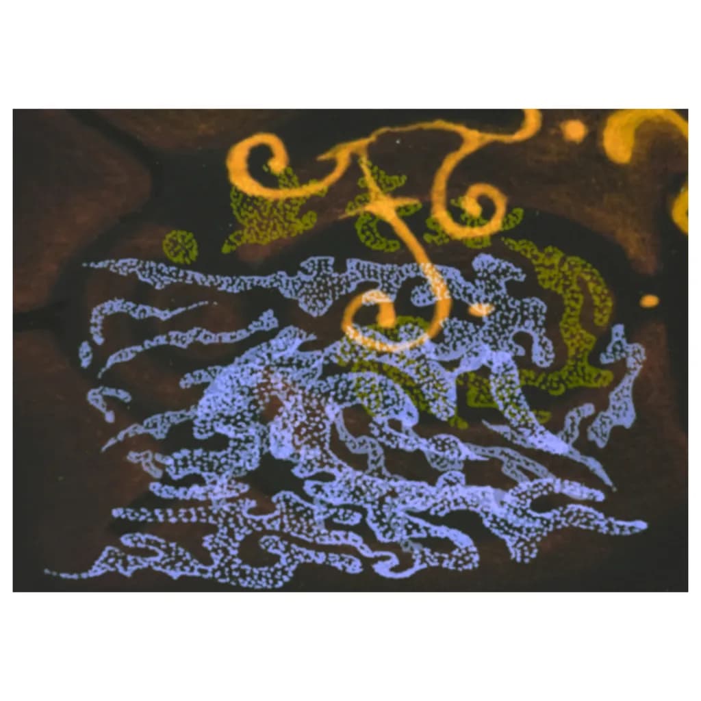 Abstract Currents