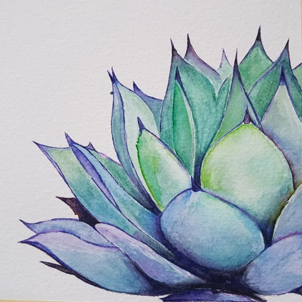 Succulent Layers