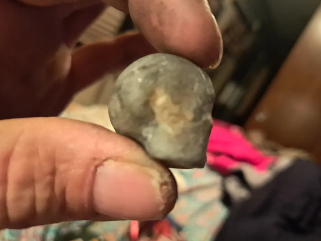 Fossil Skull Stone