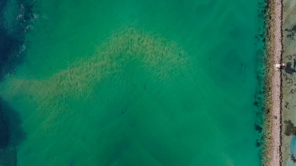 Narooma Shoreline