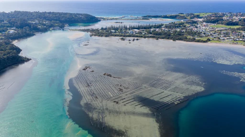 Narooma Estuary Patterns