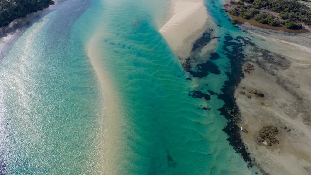 Narooma Tides