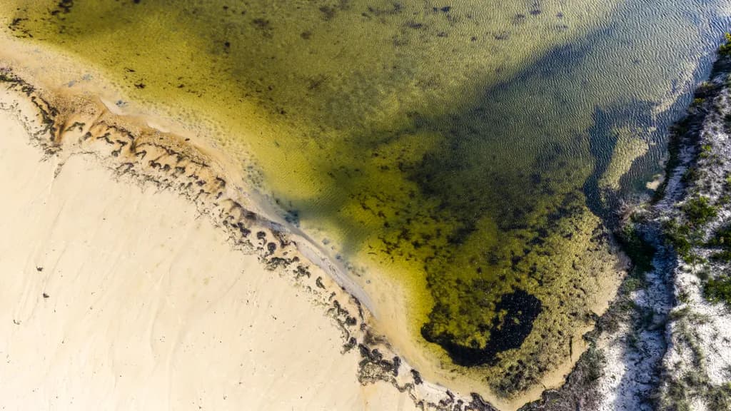 Shoreline Contours