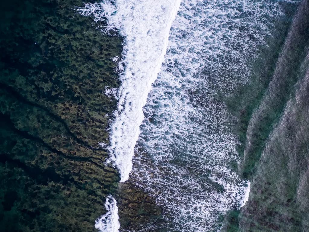 Reef Break